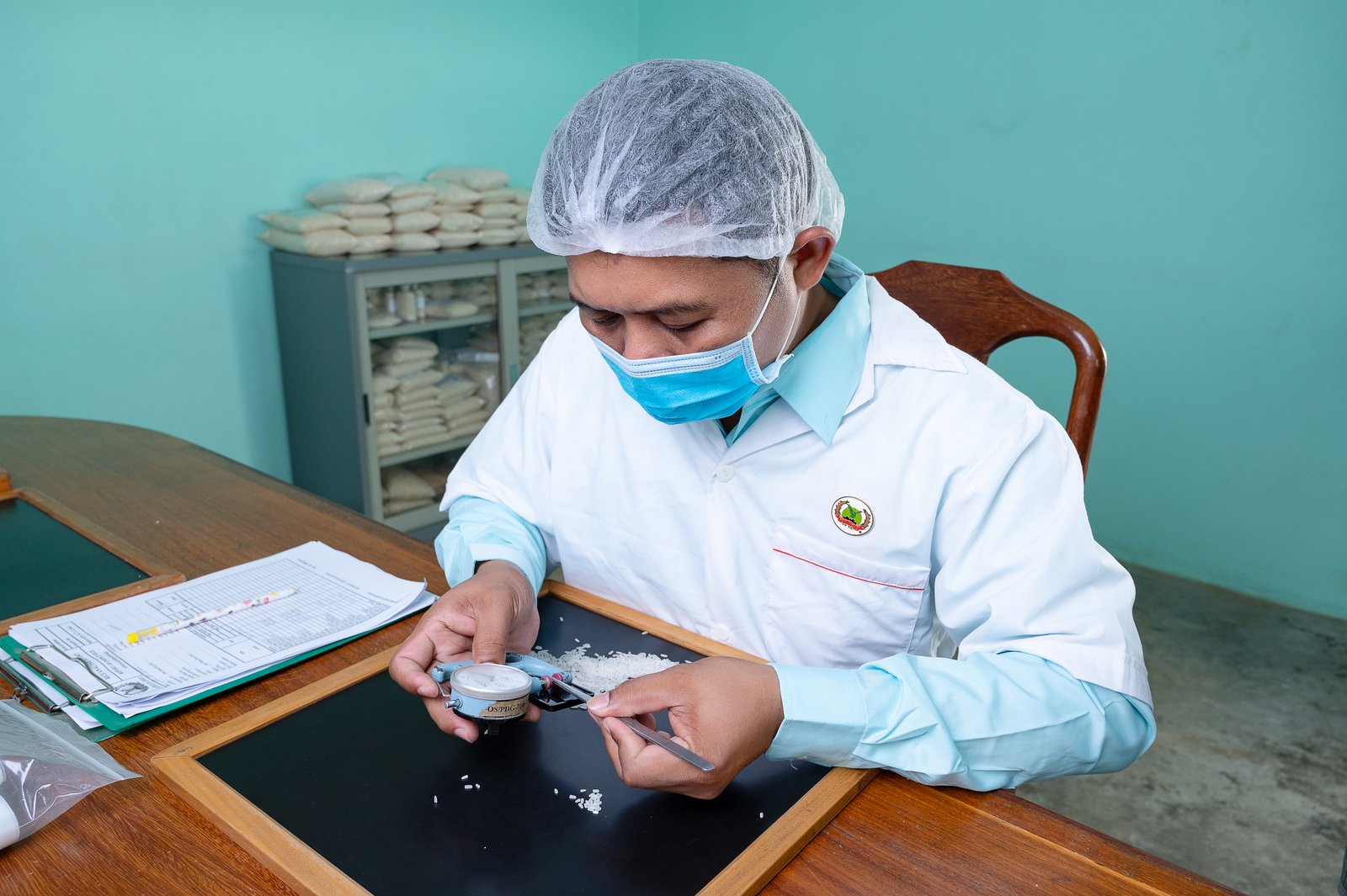 Choosing a Rice Supplier in Cambodia